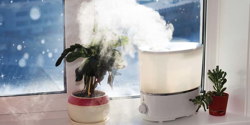 Use Humidifier to Keep Your Room Moistured