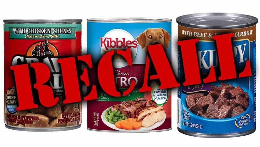 FDA Ordered the Recall of Popular Dog Food Brands