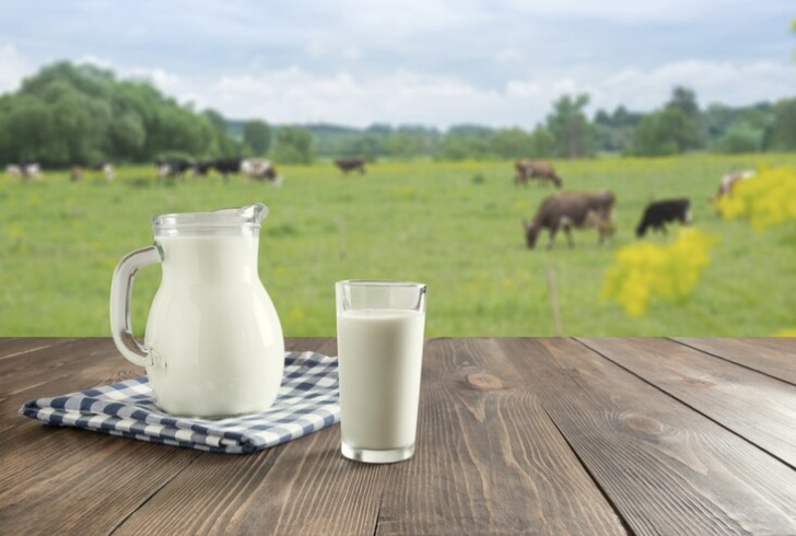 Different types of milk options